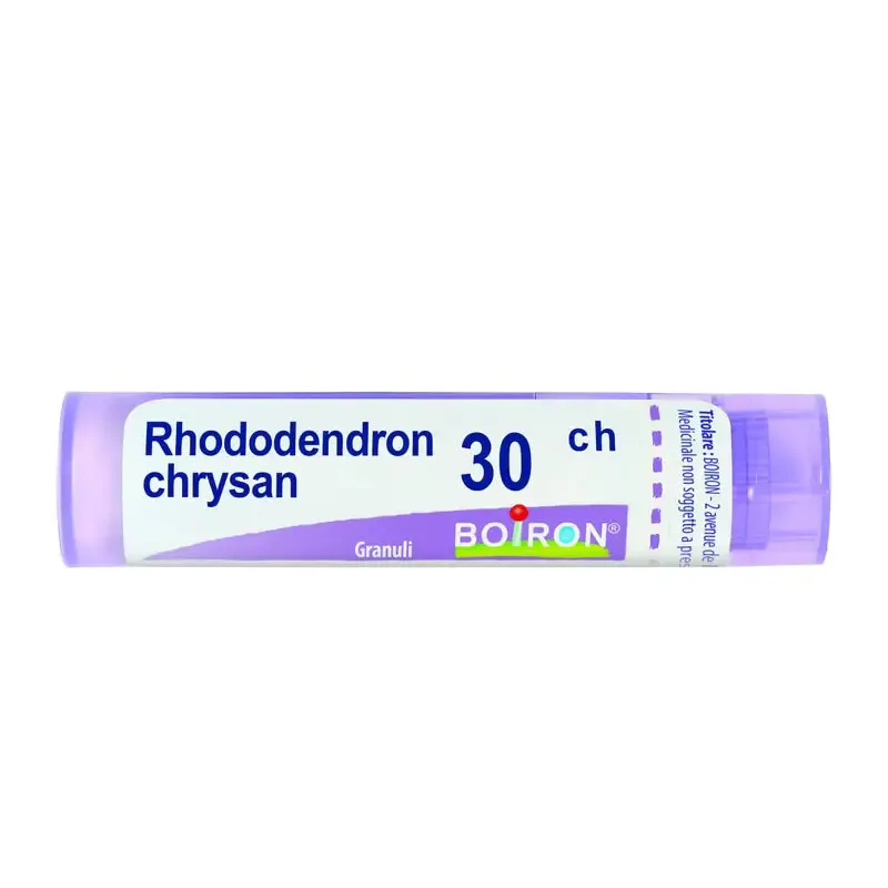 Rhododendron Chrysan 30Ch Gr